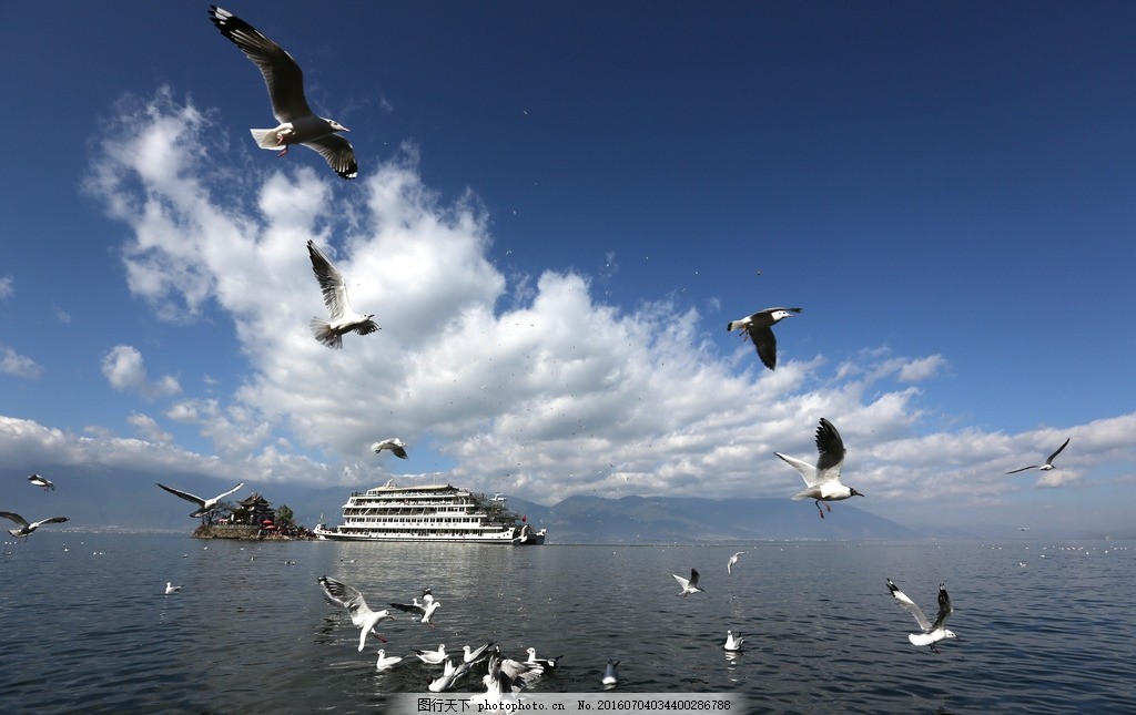 洱海游船3.jpg