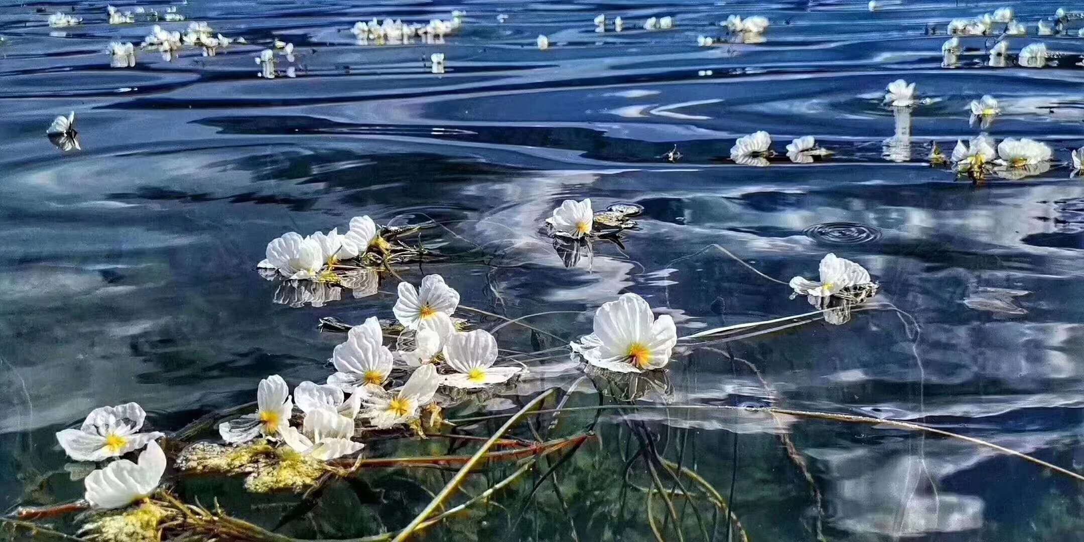 微信图片_20190626173052.jpg