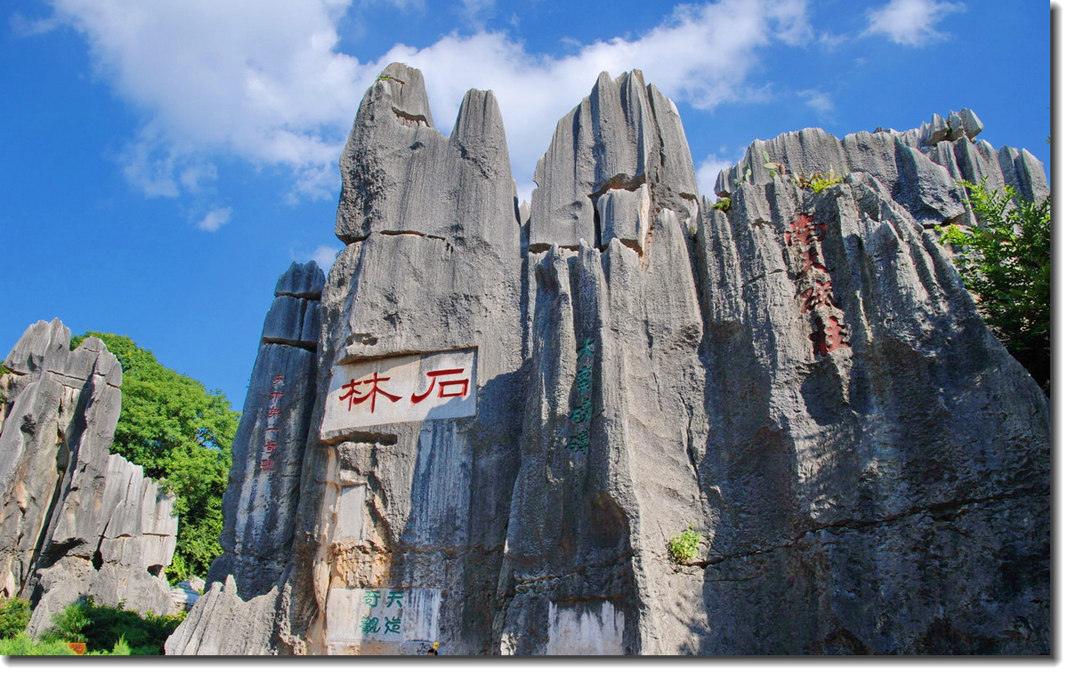 1590118559618245.jpg 17737371.jpg