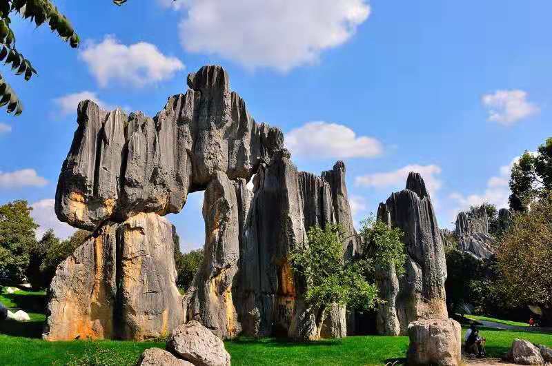 1590118577238324.jpg 微信图片_20190301164614.jpg