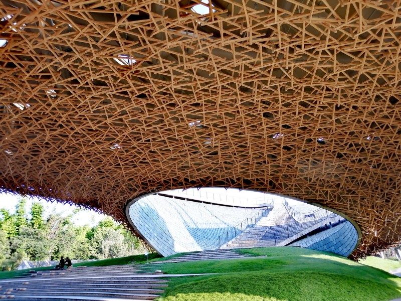 杨丽萍大剧院.jpg