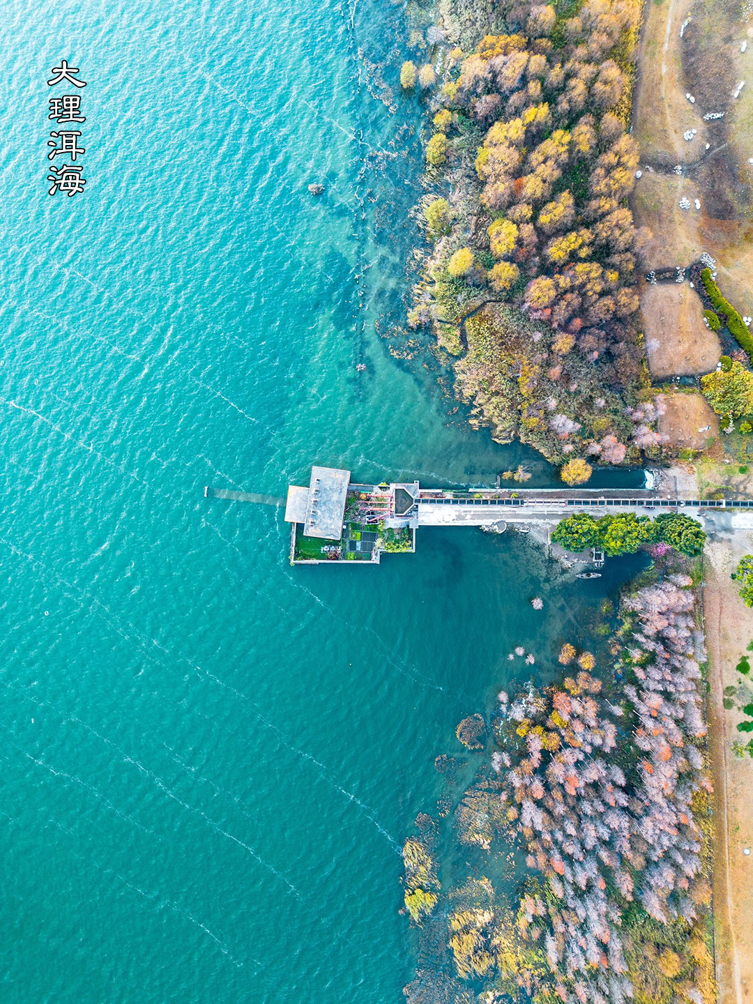 大理洱海.jpg