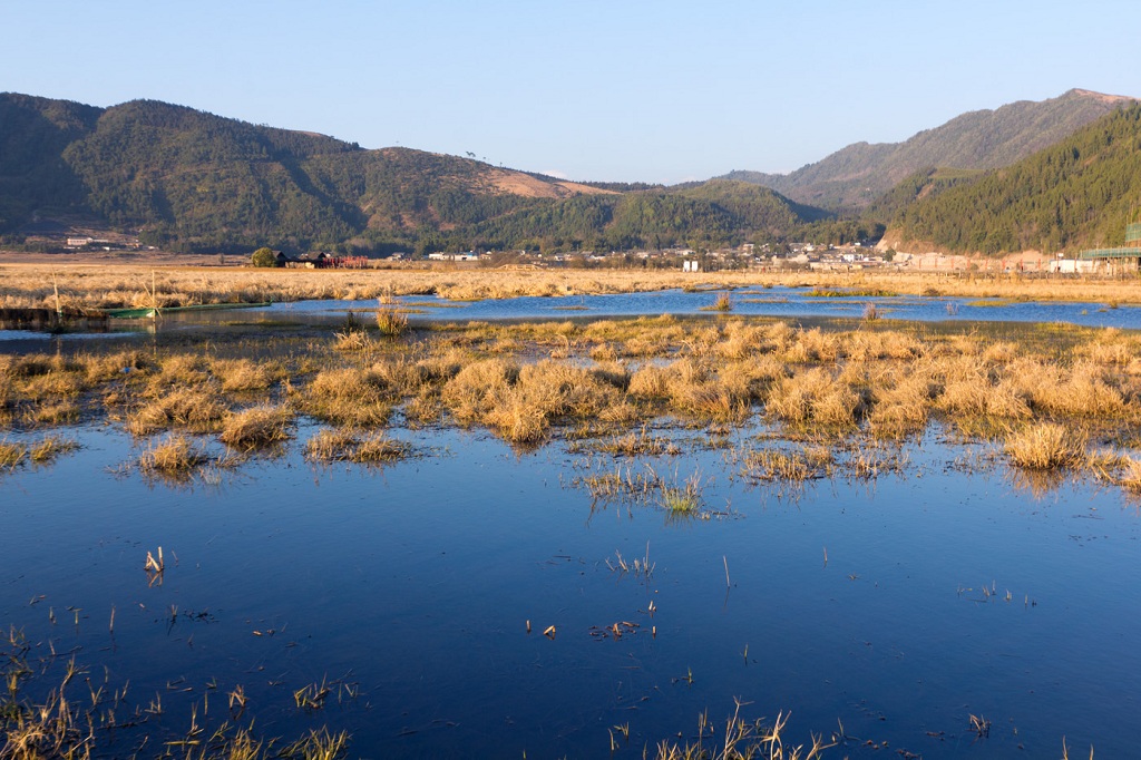 北海湿地.jpg