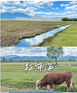 29968cddd147f6b7a31ec617f84d3ed.png