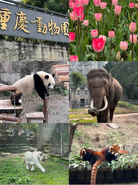 1759114546143737.png image.png