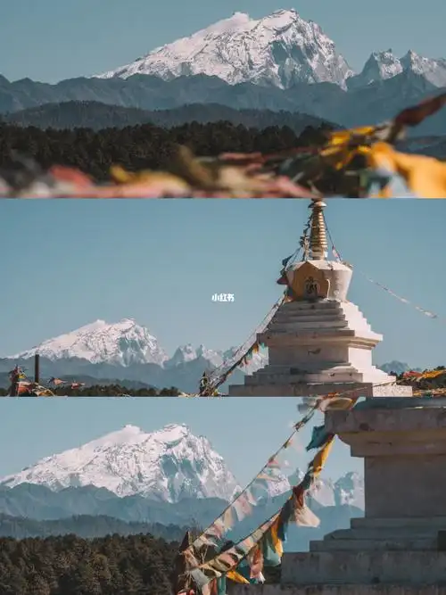 8e53cc2ce67a46374c556e0ac98721df.png