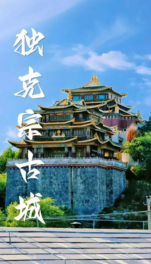 b5c26313-e30d-4843-a5db-5508e2710111.png
