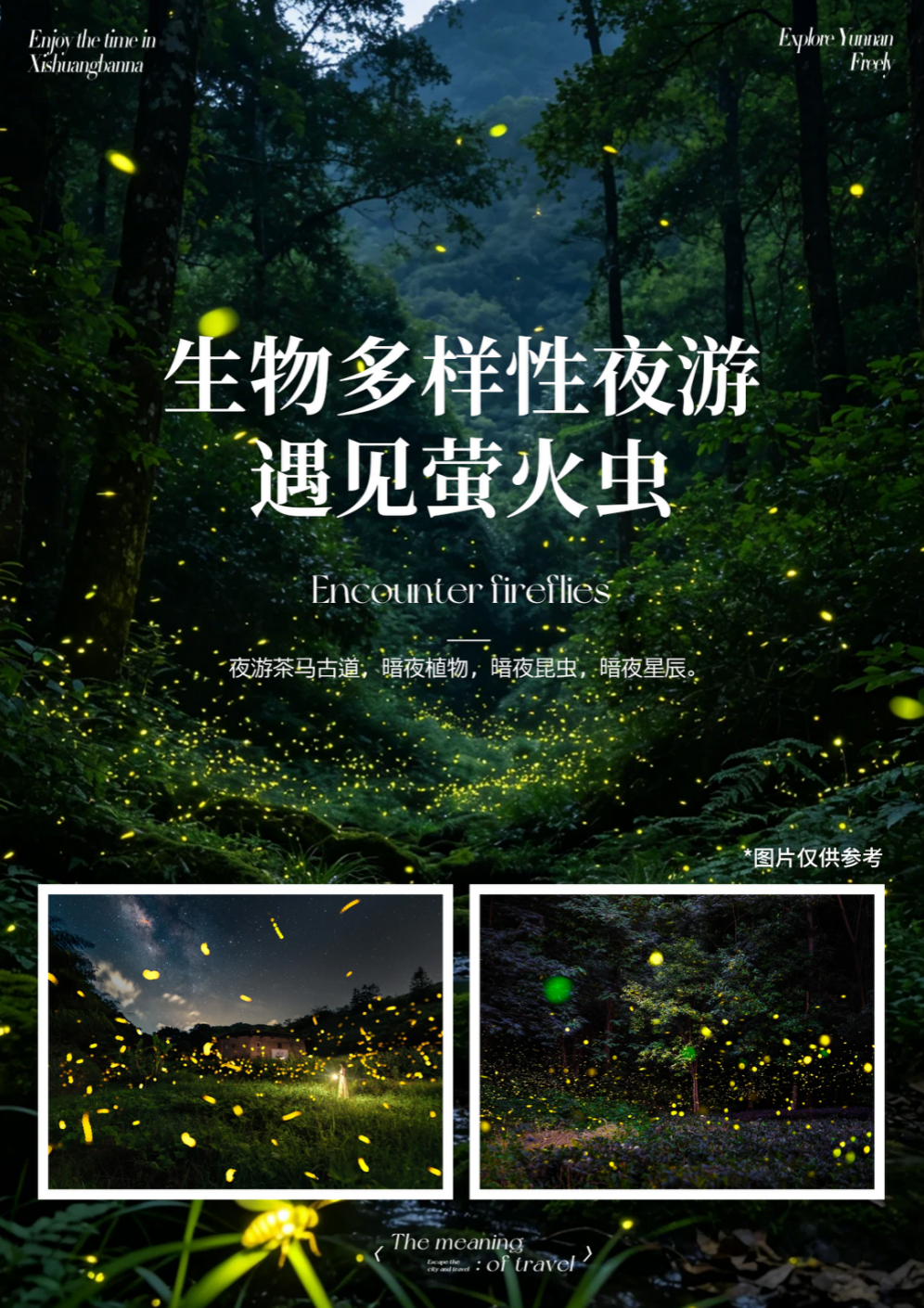09949c7a1956ec1b83c42cdd91893d40.png