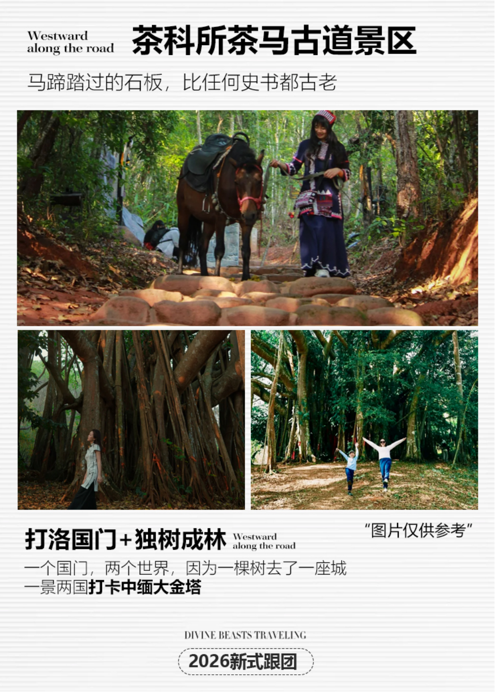 21b6d07eb4ebc866176a98b606a62504.png
