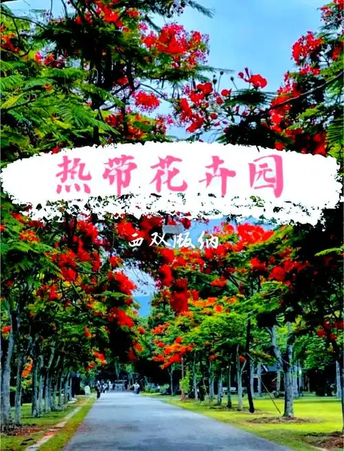 1788507439397560.png 6374a342-5409-44db-8834-4f1f6adfa19d.png