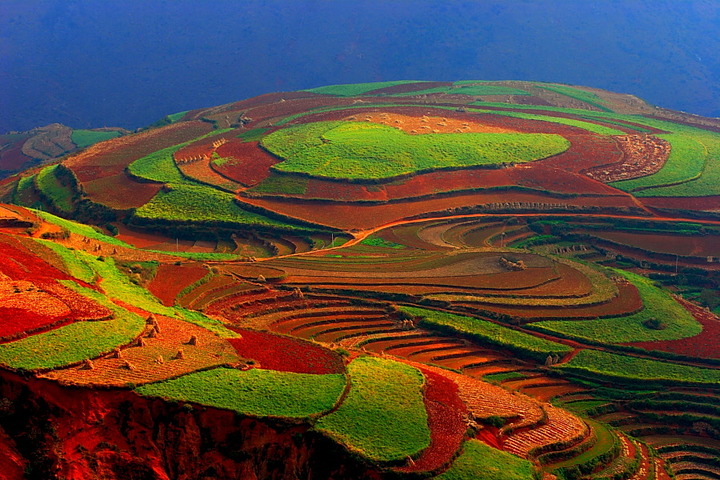 1770686678836497.jpg a14ed175819ec67da1629d8d42c8690b_6105280_6105280_1291462976741_mthumb.jpg