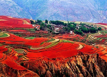 1770686850376270.png image.png