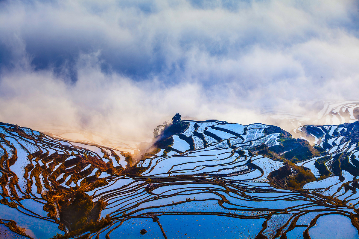 1770687178713180.jpg cc93efb020ef7ef5cd2b683d99c3406a_473147564.jpg