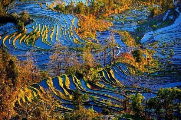 1770687378196659.jpeg 7e761947958682ef07f98ee04dedd6e8_u=1969246445,336115431&fm=170&s=DB70B4E482F2D9CC0C8C7C010300F0D3&w=598&h=398&img.JPEG