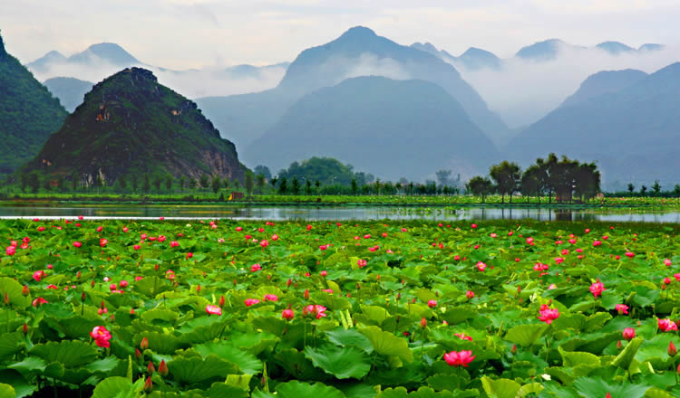 1770687567693937.jpeg 16541cc8305abf9292f5388b62a219fe_53992e72773840f38145422d20fbd0c8.jpeg