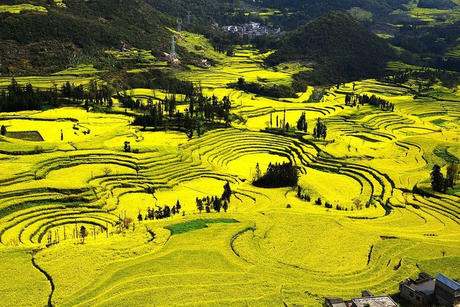 1770687964291959.jpg 13a454be01f0e1683421c747bd03a409_t04d0e453d42cf8be97.jpg